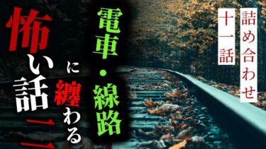 動画で見る⇒【怪談朗読】電車・線路に纏わる怖い話その二 十一話詰め合わせ【りっきぃの夜話】【りっきぃの夜話】