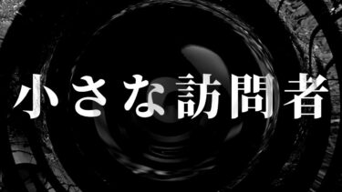 動画で見る⇒【朗読】 小さな訪問者 【腹黒男シリーズ】【怖い話 怪談朗読】