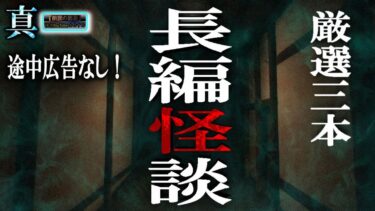 動画で見る⇒途中広告なし！【怖い話】 ルルナルの『真・傑作長編怪談』 【怪談,睡眠用,作業用,朗読つめあわせ,オカルト,ホラー,都市伝説】【怪談YouTuberルルナル】