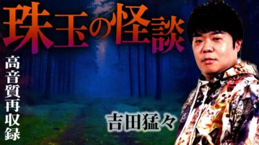 動画で見る⇒【高音質】本当にあった怖い話…吉田猛々が本気で語る珠玉の実話怪談集【ナナフシギ】【ナナフシギ】