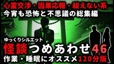 動画で見る⇒【怖い話】怖い話２時間つめあわせパート４６【総集編】【ゆっくりシルエット】