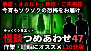 動画で見る⇒【怖い話】怖い話２時間つめあわせパート４７【総集編】【ゆっくりシルエット】