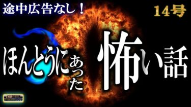 動画で見る⇒途中広告なし！【怖い話】 ほんとうにあった怖い話 14号 【怪談,睡眠用,作業用,朗読つめあわせ,オカルト,ホラー,都市伝説】【怪談YouTuberルルナル】