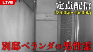 動画で見る⇒【定点】別邸ベランダ【2024年6月25日】【七四六家】