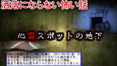 動画で見る⇒【2ch洒落怖】心霊スポットの地下【ゆっくり】【2ch怖噺】