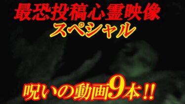 動画で見る⇒【期間限定公開】最恐投稿心霊映像スペシャル！呪いの動画9本！【日本ホラーチャンネル】