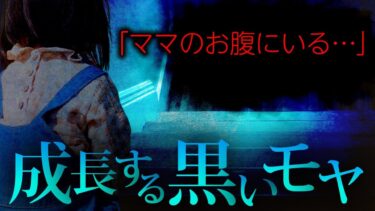 動画で見る⇒【怖い話】どこにいっても現れる黒いモヤ…ある日実体を現したが…【フシギミステリー倶楽部】