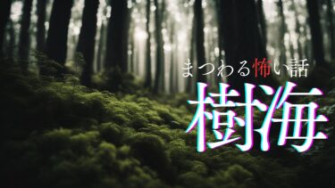 動画で見る⇒【怪談朗読】樹海にまつわる怖い話　千年怪談【語り手】sheep【奇々怪々】【作業用】【怖い話】【朗読】【ホラー】【心霊】【オカルト】【都市伝説】【千年怪談sheep】