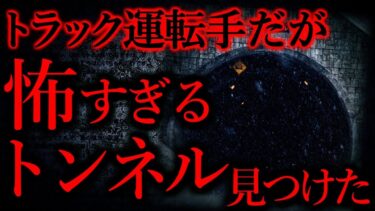 動画で見る⇒【世にも奇妙な体験まとめ90】トラックの運転手なんだが怖すぎるトンネルを発見した…【短編7話】【怖い話まとめch】