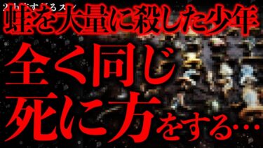 動画で見る⇒【閲覧注意の怖い話まとめ2】生き物の命を粗末にした少年の末路がヤバすぎる…【2ch怖いスレ】【ゆっくり解説】【進化したまーくん】