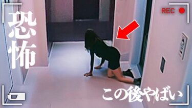 動画で見る⇒【心霊＆恐怖映像】カメラが偶然にも捉えた最も奇妙で怖い映像…6選【アイの告白MADtv】