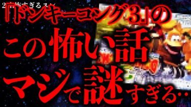 【進化したまーくん】【ゲームにまつわる怖い話まとめ】ドンキーコング３やってたらめちゃくちゃ謎な現象が起きたんだが何これ怖い【2ch怖いスレ】【ゆっくり解説】