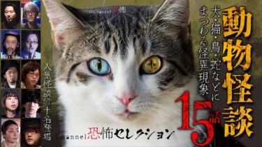 【Channel恐怖】【怪談つめあわせ15話】動物怪談～犬・猫・鳥・蛇などにまつわる怪異現象【人気怪談師10名】