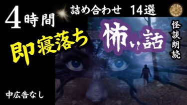 動画で見る⇒【睡眠導入/怖い話】途中広告なし　女声怪談朗読詰め合わせ14選【女性/長編/ホラー/ミステリー/都市伝説】【怪談朗読と午前二時】