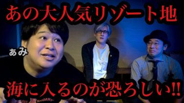 動画で見る⇒【怪談】海の中が恐ろしいリゾート地/怪談家ぁみ【怪談ぁみ語】【ぁみ [怪談ぁみ語]】