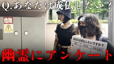 【七四六家】町中にいる幽霊たちに「成仏したい？」とアンケートをとってみた【心霊】