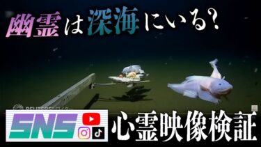 【七四六家】深海に幽霊はいるのか？我々はその謎を解き明かすべくロイターの映像を見ることにした…。【SNS心霊映像検証】