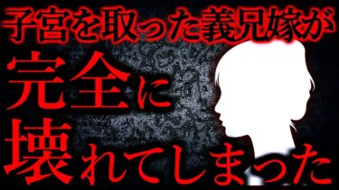 動画で見る⇒【人間の怖い話まとめ266】病気で子宮を取ってしまった義兄嫁が完全に壊れてしまった…他【短編5話】【怖い話まとめch】