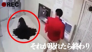 動画で見る⇒【心霊＆恐怖映像】監視カメラ等が捉えた人々の驚くべき恐怖の瞬間…5選【アイの告白MADtv】