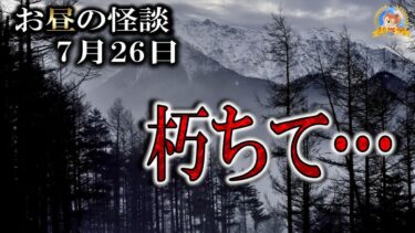 【怪談YouTuberルルナル】朗読のみ！ 【怖い話】 お昼の怪談 7月26日 【怪談,睡眠用,作業用,朗読つめあわせ,オカルト,ホラー,都市伝説】