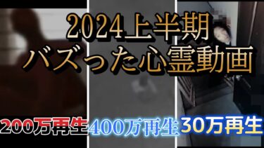 【ホラーチャンネル】【YouTube限定総集編】2024上半期SNSでバズった動画集！