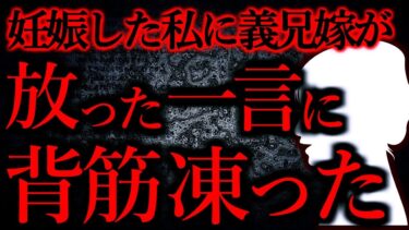 【怖い話まとめch】【人間の怖い話まとめ276】妊娠した私に義兄嫁が放った一言に背筋が凍った…他【短編7話】