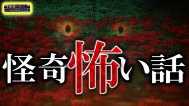 動画で見る⇒怪奇タイム！【眠れる怪談】 怖い話 【怪談,睡眠用,作業用,朗読つめあわせ,オカルト,ホラー,都市伝説】【怪談YouTuberルルナル】