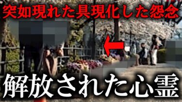 【ホラーチャンネル】【恐怖映像】解放された心霊！突如現れた具現化した怨念…