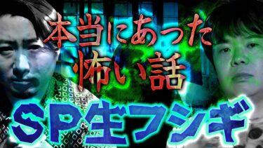 【ナナフシギ】【SP生フシギ】夜馬裕と猛々の本当にあった怖い話、今夜は何連発!?【ナナフシギ】【怖い話】