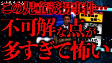 【進化したまーくん】【事件•事故の怖い話まとめ11】この児童誘拐事件、あまりに不可解すぎるんだがマジでどういう事？【2ch怖いスレ】【ゆっくり解説】