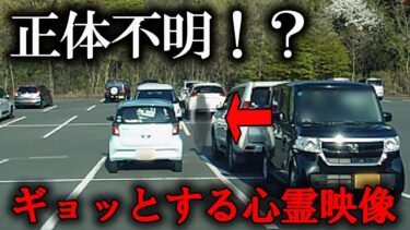 動画で見る⇒【投稿心霊映像】正体不明！？ギョッとする心霊映像！【日本ホラーチャンネル】