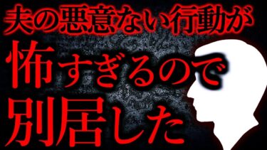 動画で見る⇒【人間の怖い話まとめ271】夫の悪意ない行動が許されるものではないので別居することにした…他【短編6話】【怖い話まとめch】