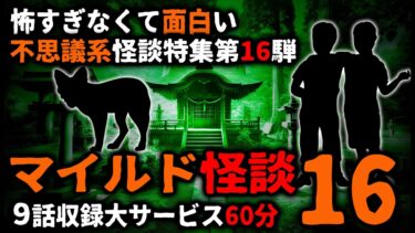 動画で見る⇒【怖い話】怖すぎなくて面白い「マイルド怪談」パート１６【総集編】【ゆっくりシルエット】