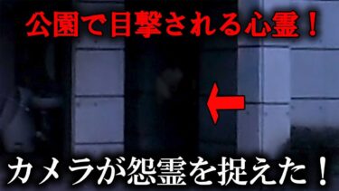 【ホラーチャンネル】【監視カメラ心霊】公園で目撃される心霊！カメラが怨霊を捉えた！