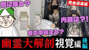 動画で見る⇒【完全保存版】鏡に映るか、スマホから情報を得られるか、壁の奥が見えるか、人体の中が見えるかetc、幽霊の視覚を徹底解剖しました。～後編～【幽霊大解剖】【七四六家】