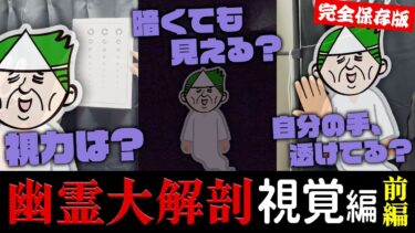 動画で見る⇒【完全保存版】視力、光の感じ方、透け具合etc、幽霊の視覚を徹底解剖しました。～前編～【幽霊大解剖】【七四六家】