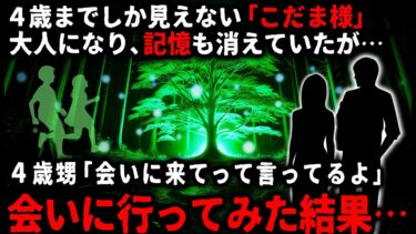 【ゆっくりシルエット】【怖い話】陰陽師を祖先に持つ家系の俺といとこ。子供のころ式神と遊んだそうだが、記憶はない。しかし、4歳の甥っ子の一言が気になり「こだま様」を探しに行くと…【ゆっくり】