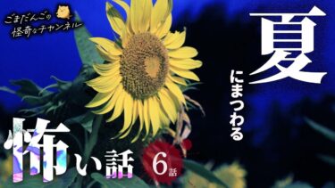 【ごまだんごの怪奇なチャンネル】【怖い話】 夏にまつわる怖い話まとめ 厳選6話【怪談/睡眠用/作業用/朗読つめあわせ/オカルト/都市伝説】