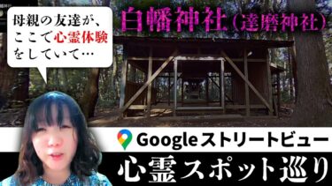 【七四六家】霊が視える人と殺●事件もあった千葉最恐心霊スポット「白幡神社」を一緒に見たら、脅かし方トレンドを追う幽霊が集まるパリコレ会場だった…【ストビュー心スポ巡り】