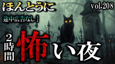 【怪談YouTuberルルナル】途中広告なしの120分！【怖い話】 ほんとうに怖い夜 Vol 208【怪談,睡眠用,作業用,朗読つめあわせ,オカルト,ホラー,都市伝説】