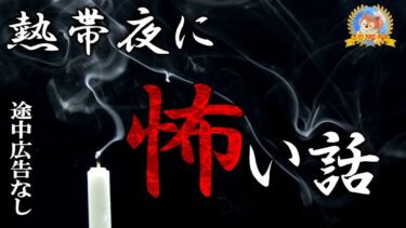 【怪談YouTuberルルナル】今夜も途中広告なし 【恐怖】 熱帯夜に怖い話 【怪談,睡眠用,作業用,朗読つめあわせ,オカルト,ホラー,都市伝説】