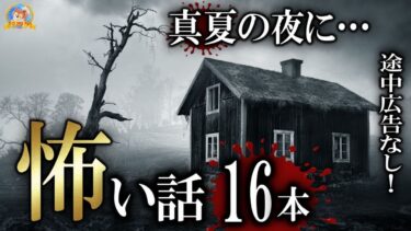 【怪談YouTuberルルナル】途中広告なし！ 【怖い話】 真夏の恐怖16本 【怪談,睡眠用,作業用,朗読つめあわせ,オカルト,ホラー,都市伝説】