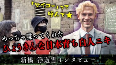 【七四六家】新橋にいる浮遊霊にインタビューしたら、サービス精神旺盛な日本育ちの白人さんがいたwww【心霊】