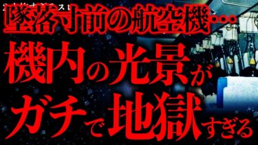 動画で見る⇒【事件•事故の怖い話まとめ7】旅客機が『墜落する直前の機内の光景』、本気で地獄すぎる…【2ch怖いスレ】【ゆっくり解説】【進化したまーくん】