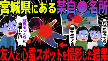 【ハム速報】【ゆっくり怖い話】宮城県にある某自〇名所→友人と心霊スポットを撮影した結果【オカルト】 宮城県八木山橋