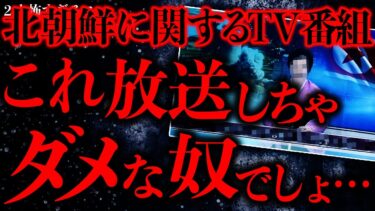 【進化したまーくん】【テレビ番組の怖い話まとめ2】数年前に見た”北朝鮮に関する特集番組”が未だにトラウマでヤバいんだが…【2ch怖いスレ】【ゆっくり解説】