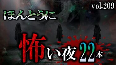 【怪談YouTuberルルナル】【怖い話】 ほんとうに怖い夜 Vol 209【怪談,睡眠用,作業用,朗読つめあわせ,オカルト,ホラー,都市伝説】