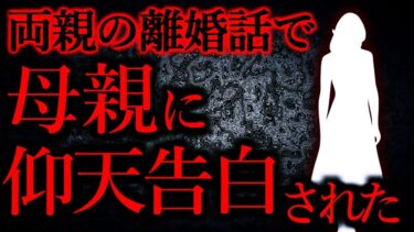 【怖い話まとめch】【人間の怖い話まとめ295】両親の離婚話で母親が仰天告白してきやがった…他【短編6話】