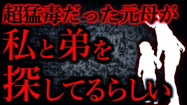 【怖い話まとめch】【人間の怖い話まとめ317】超猛毒だった元母親が私と弟を探し回ってるらしい…他【短編5話】