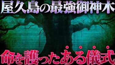 【フシギミステリー倶楽部】【島怪談】鹿児島県・屋久島の守り神…御神木に命を拾われた父